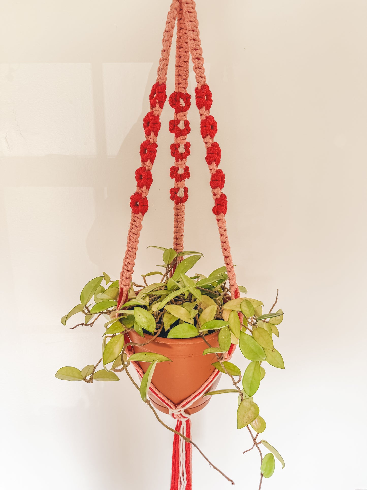 Daisy Plant Hanger