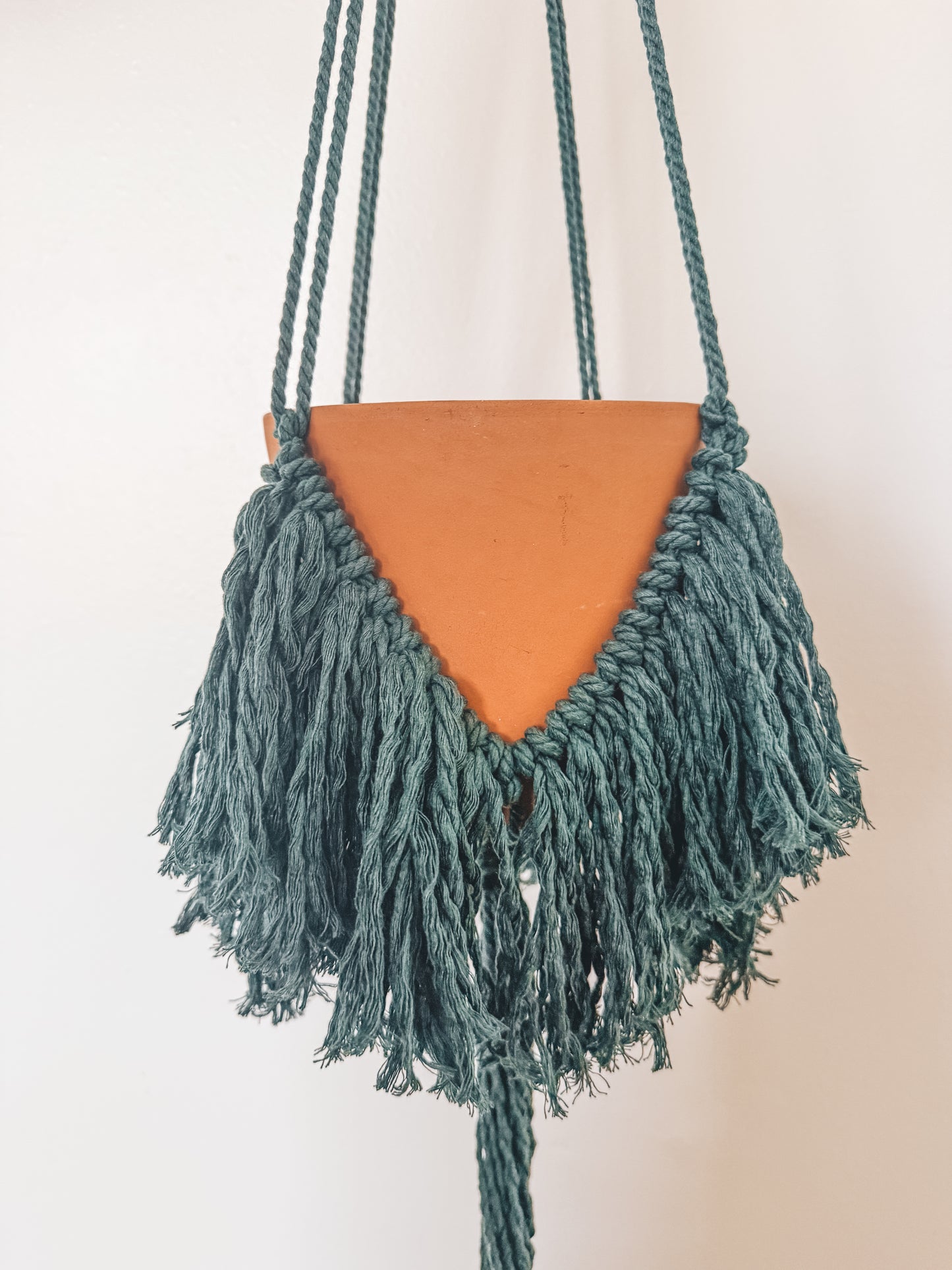 Fringe Plant Hanger