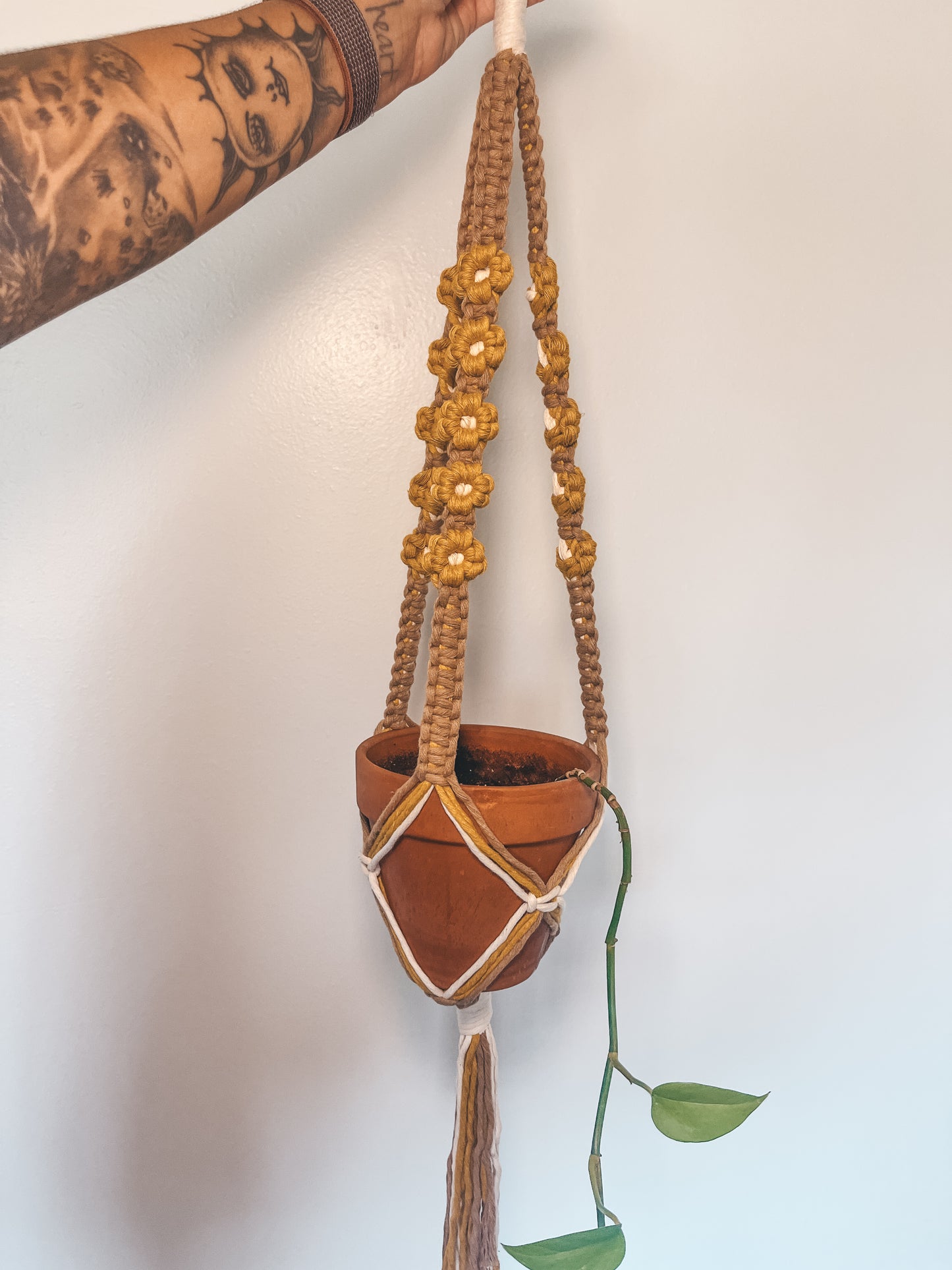 Daisy Plant Hanger