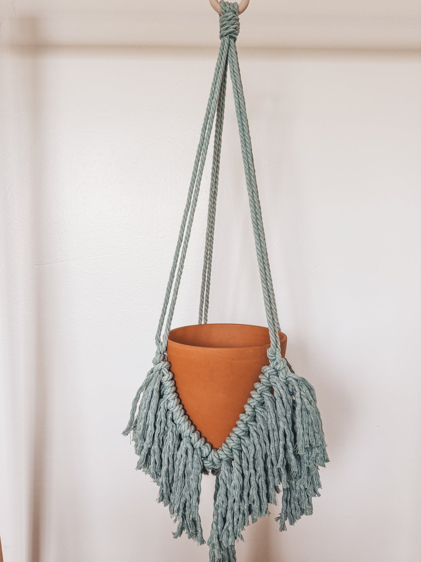 Fringe Plant Hanger