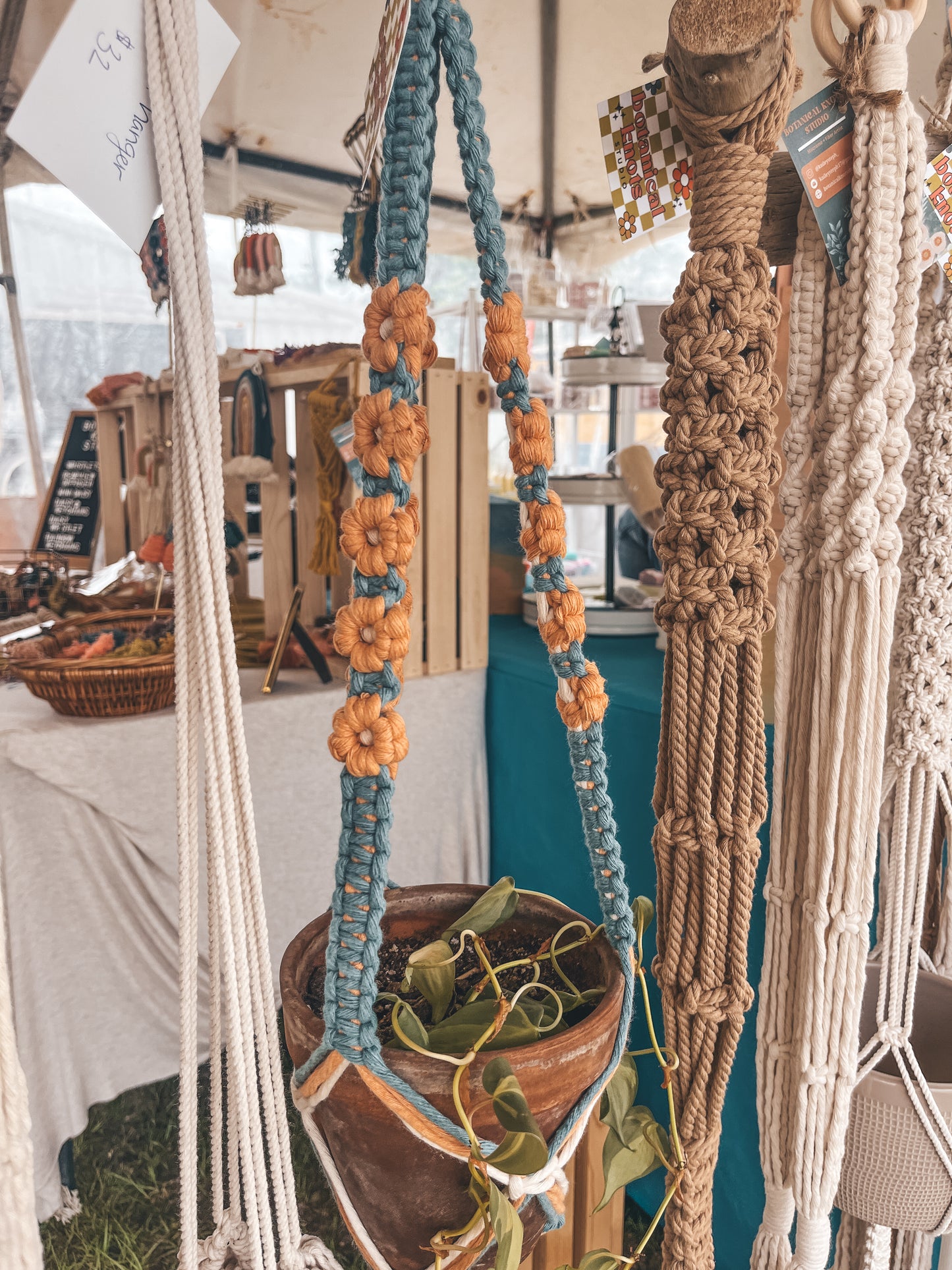 Daisy Plant Hanger