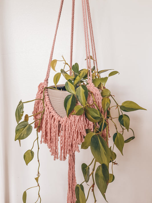 Fringe Plant Hanger