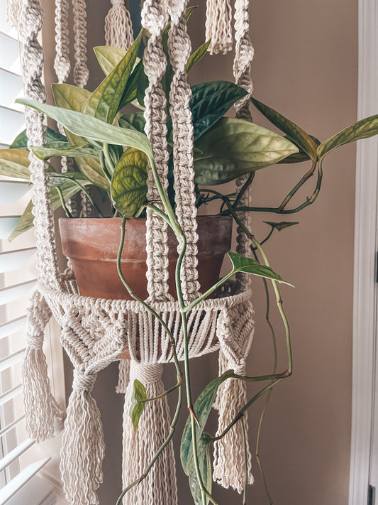 70’s vintage plant hanger