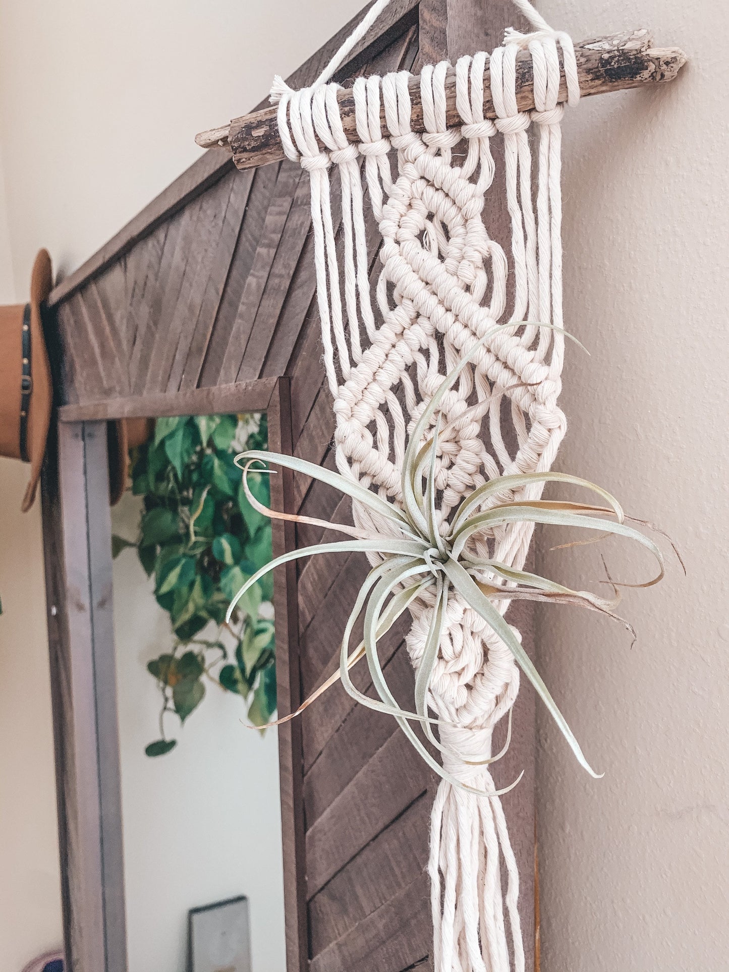 Air Plant Hanger