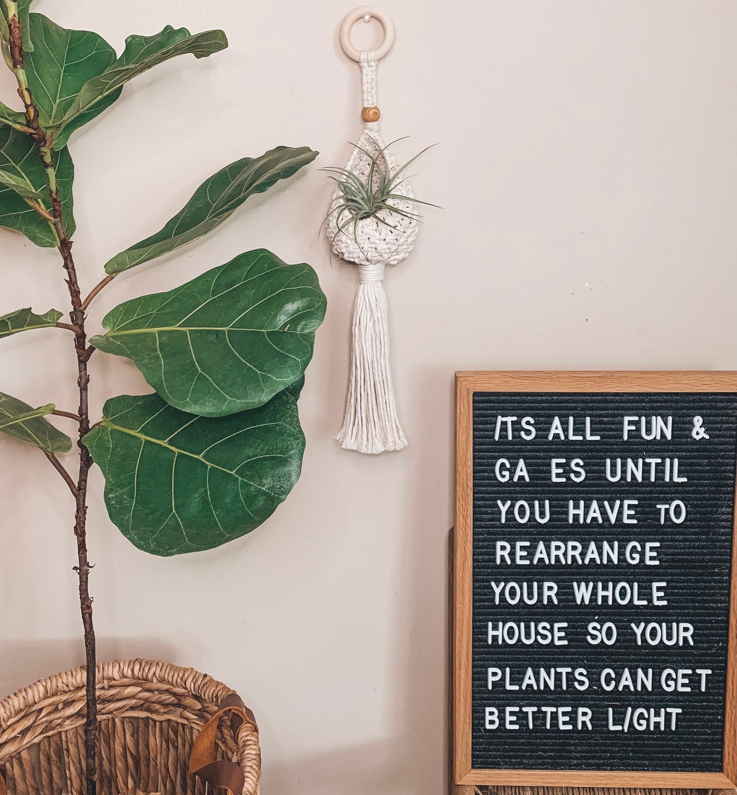 Airplant Pod Hanger