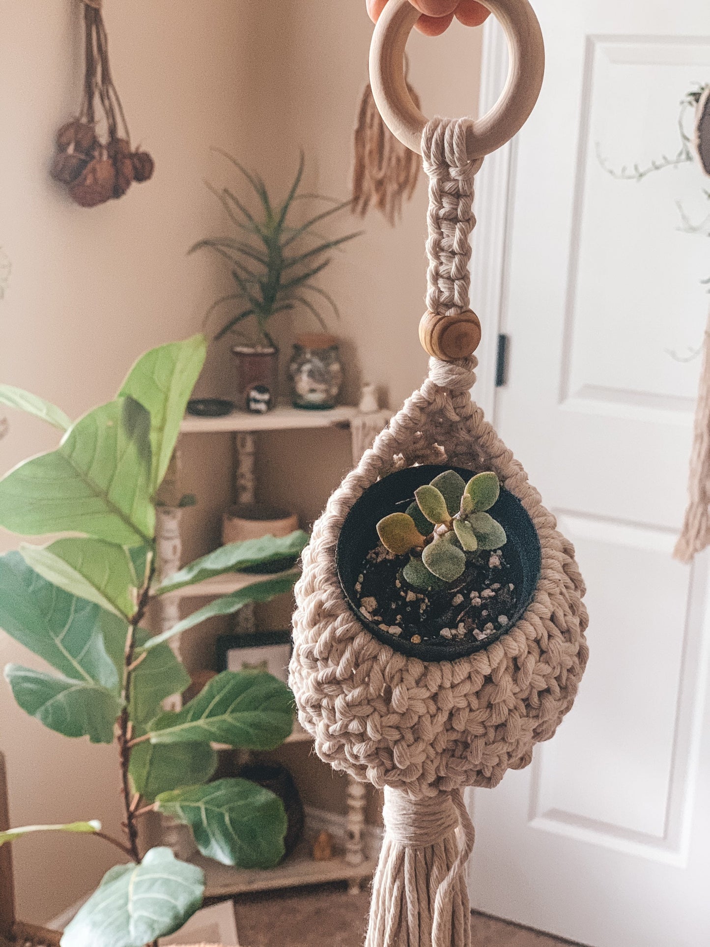 Airplant Pod Hanger