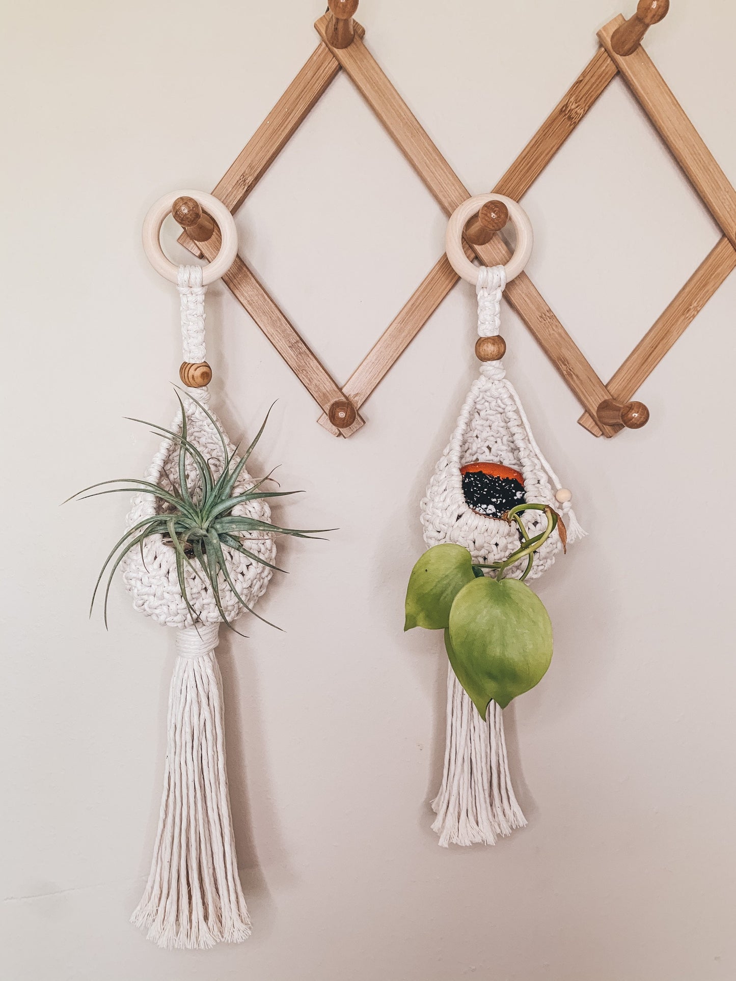 Airplant Pod Hanger