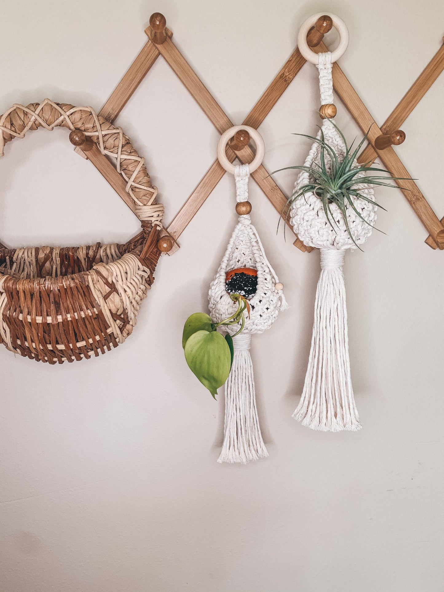 Airplant Pod Hanger