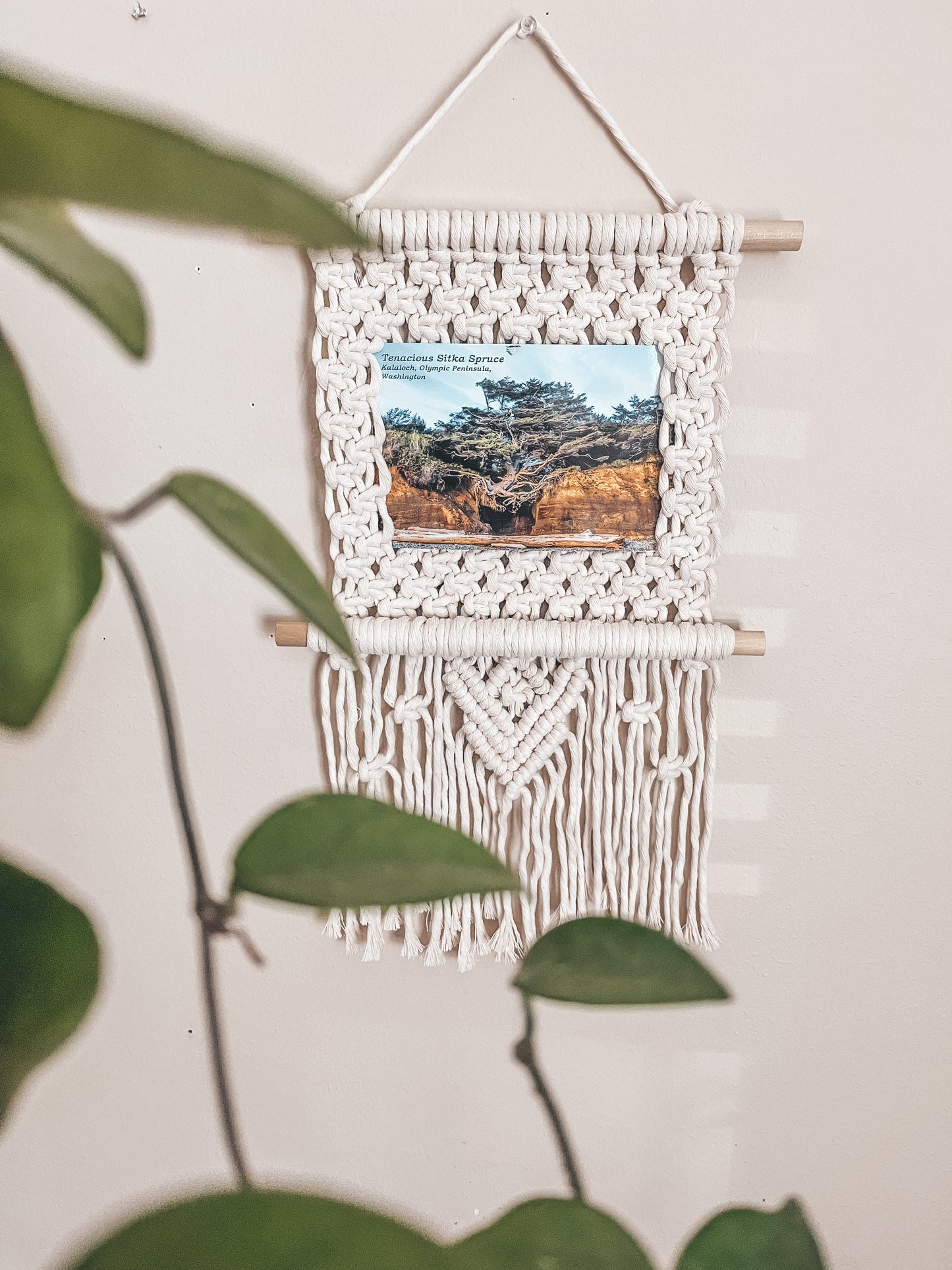 Picture frame