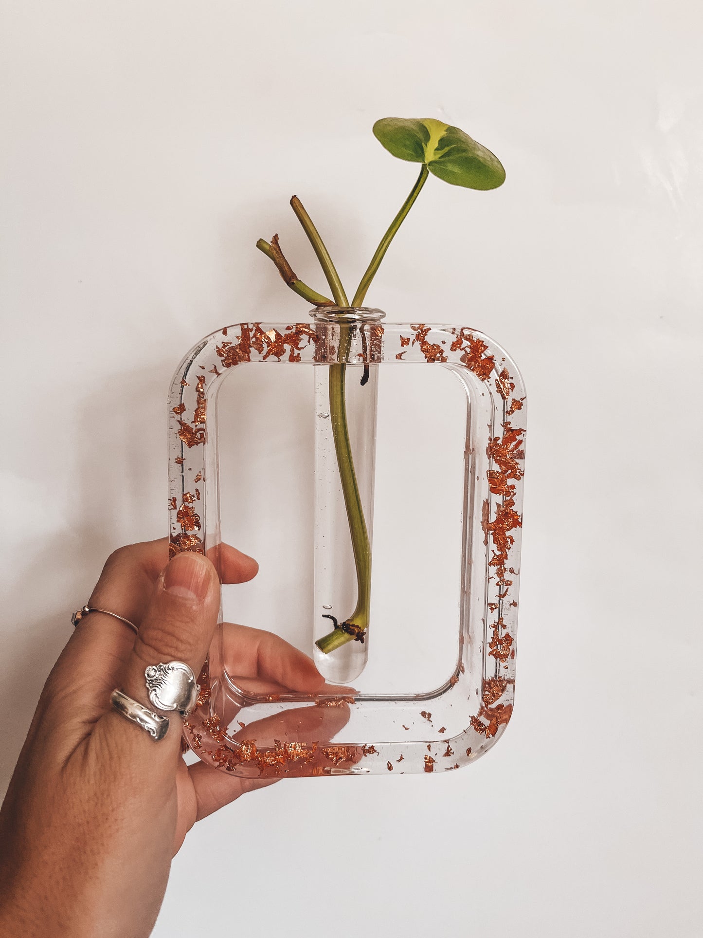 Resin Propagation Station