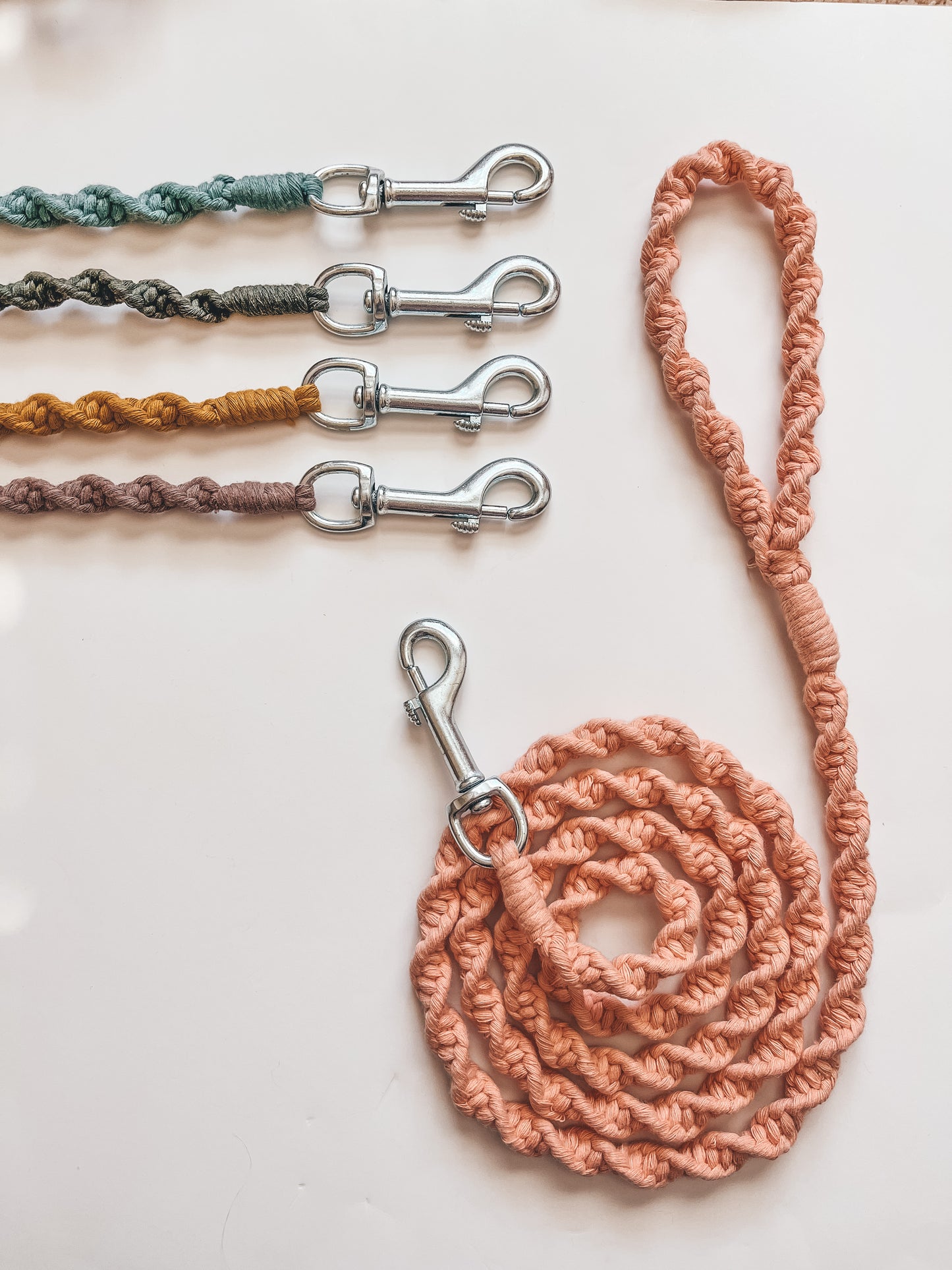 Dog Leash