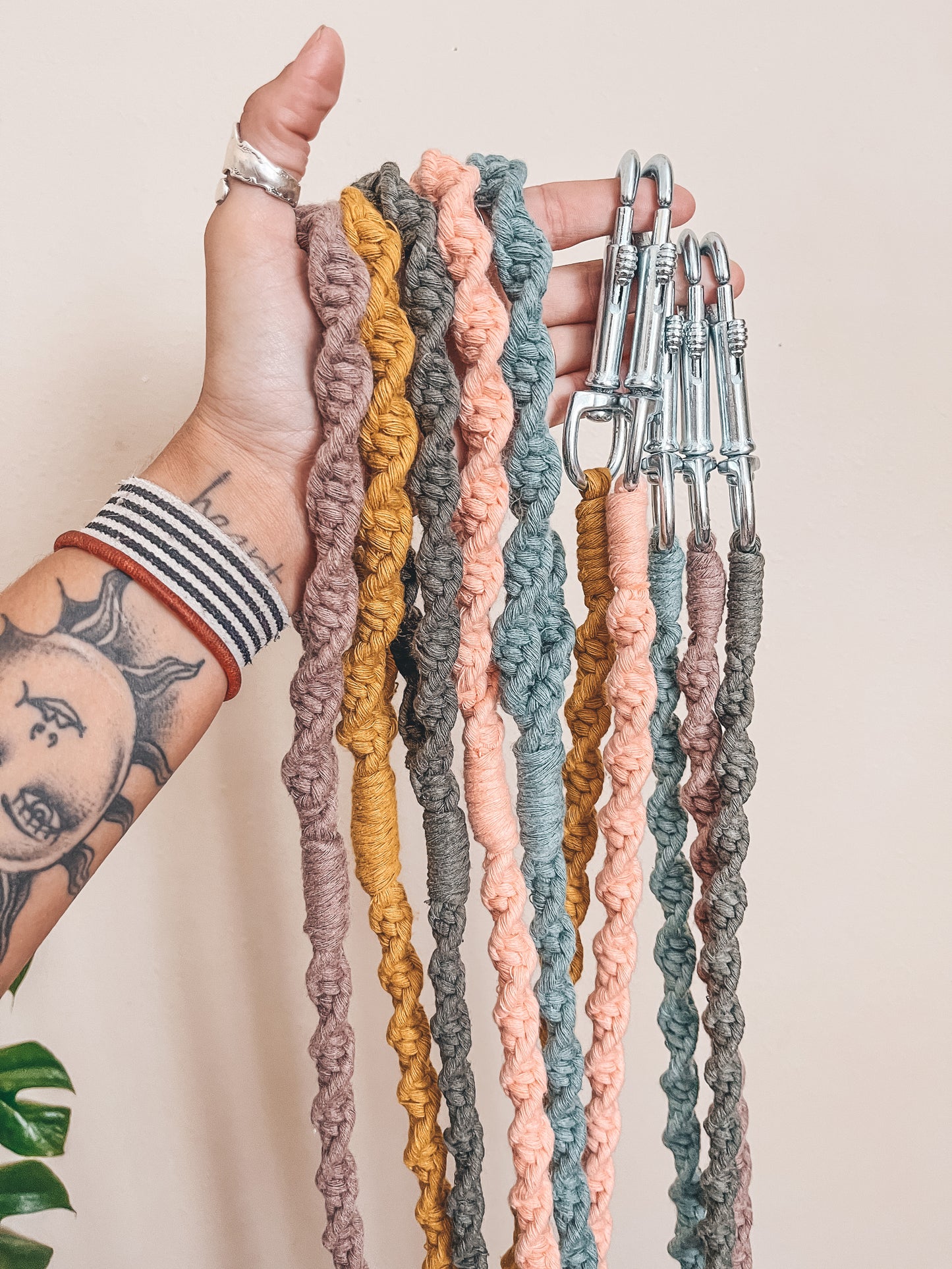 Dog Leash