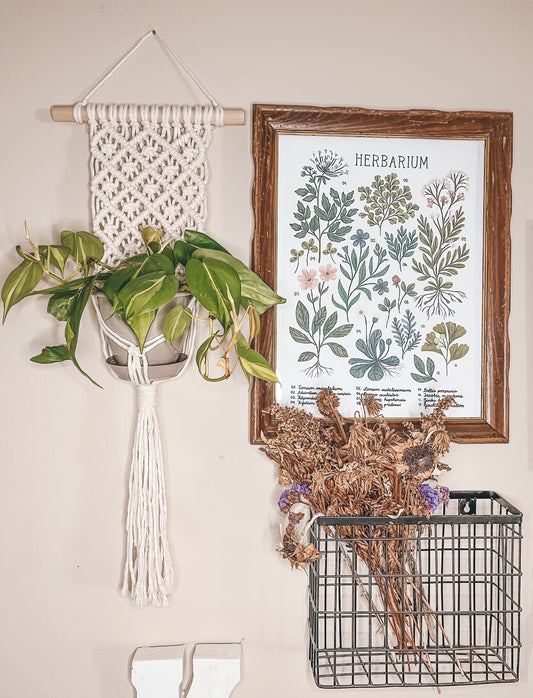 Wall Plant Hanger