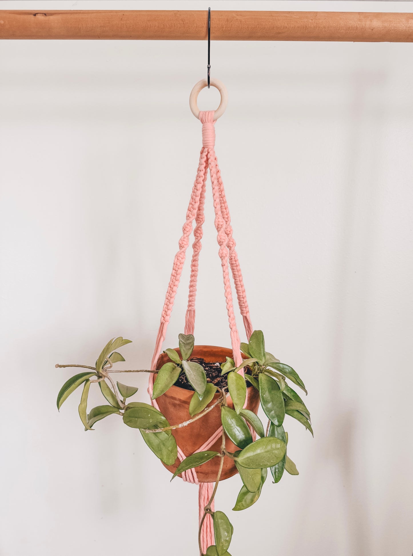 Basic plant hanger, short