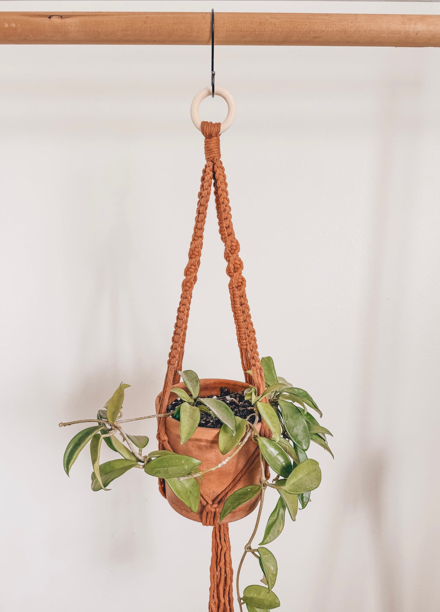 Basic plant hanger, short