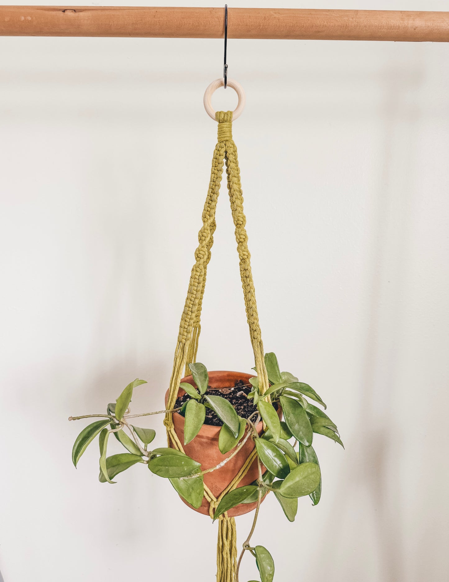 Basic plant hanger, short
