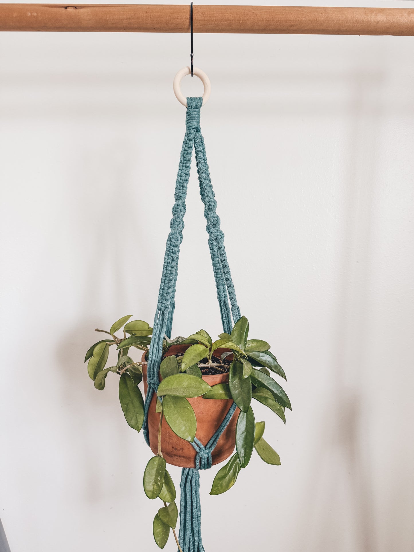 Basic plant hanger, short