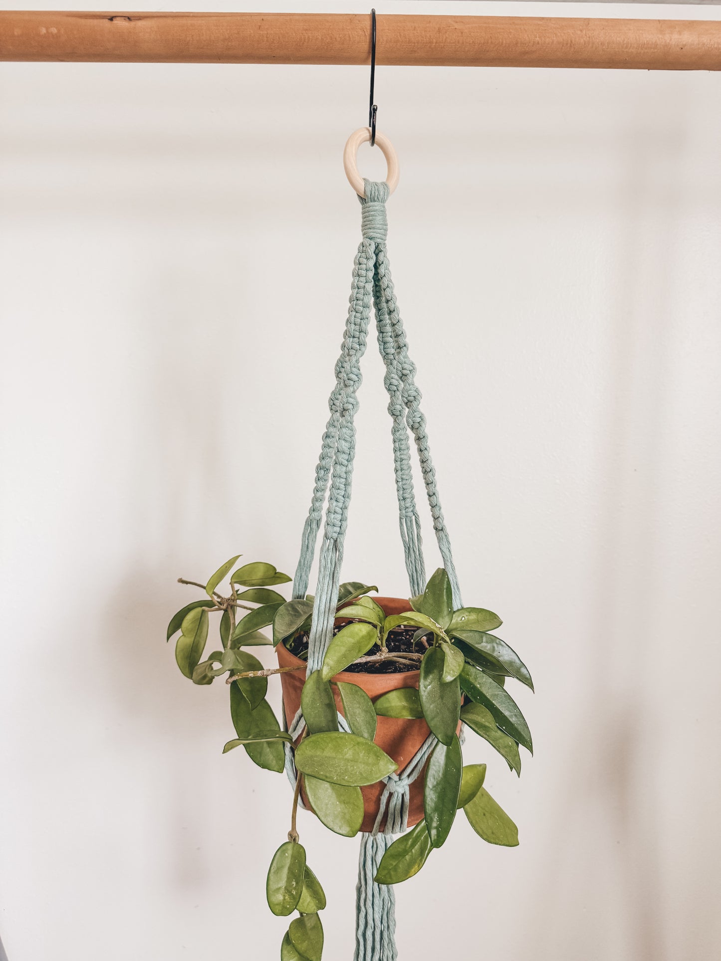 Basic plant hanger, short