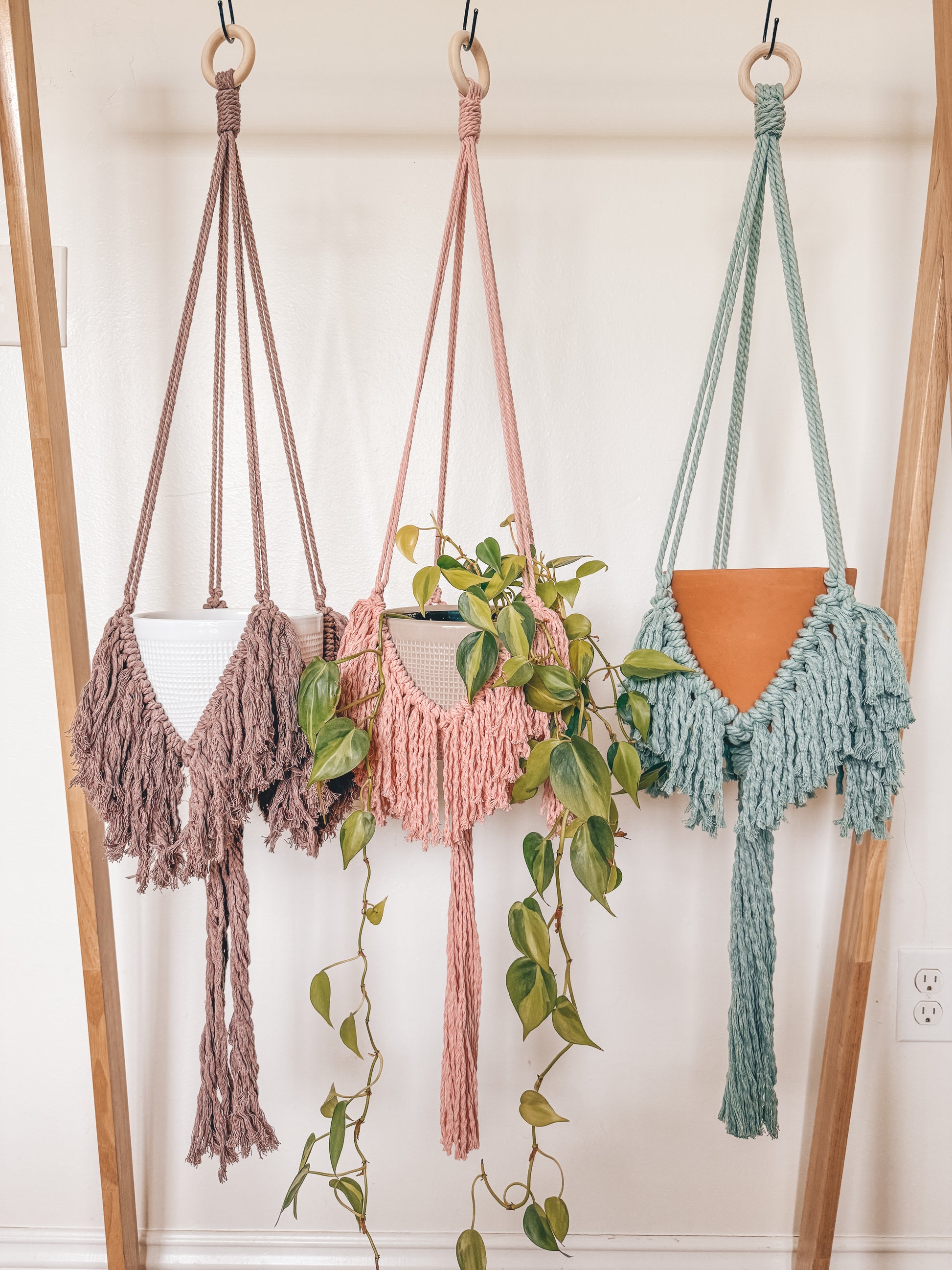 fringe plant hanger Fringe Plant Hanger