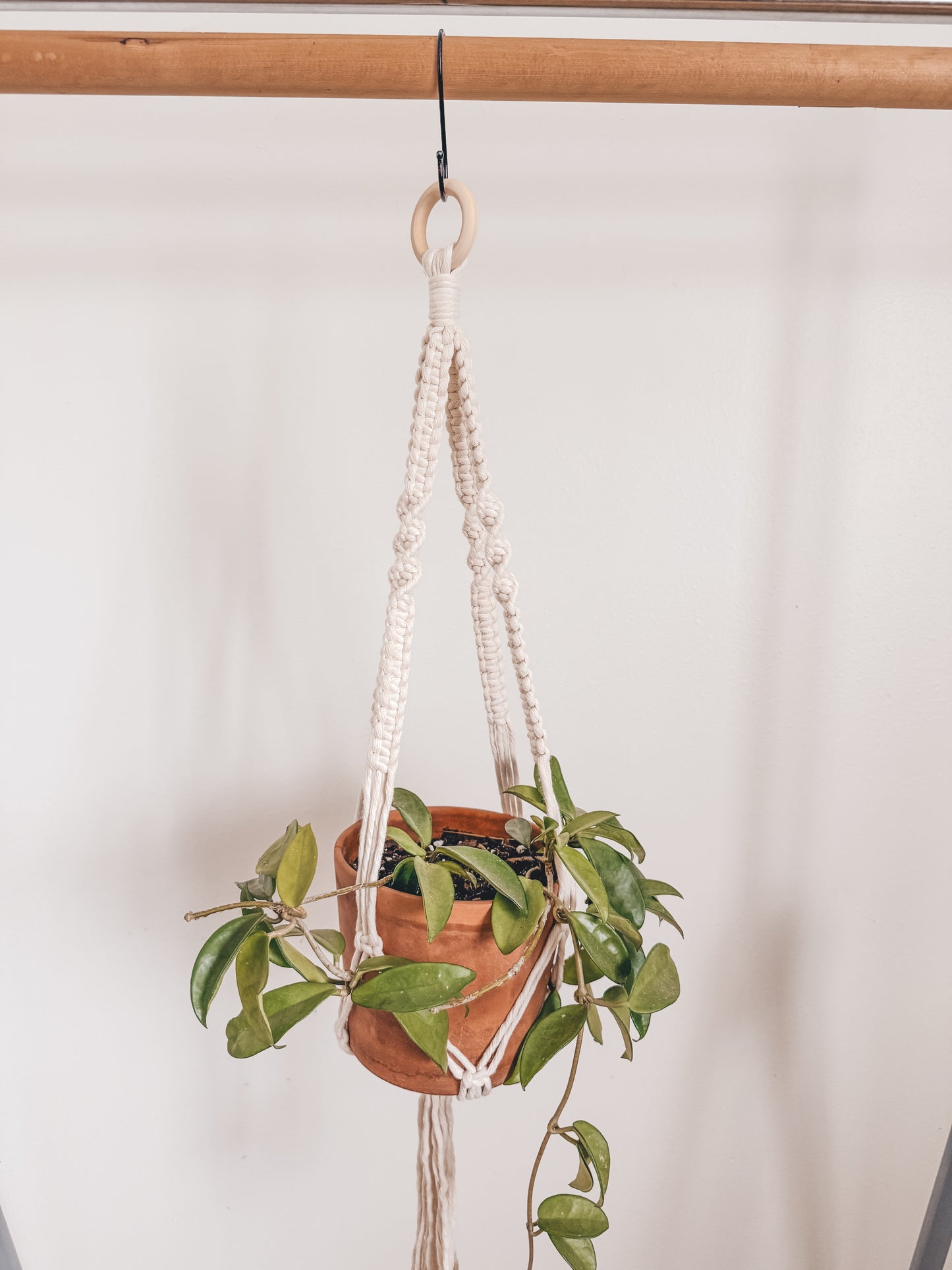 Basic plant hanger, short