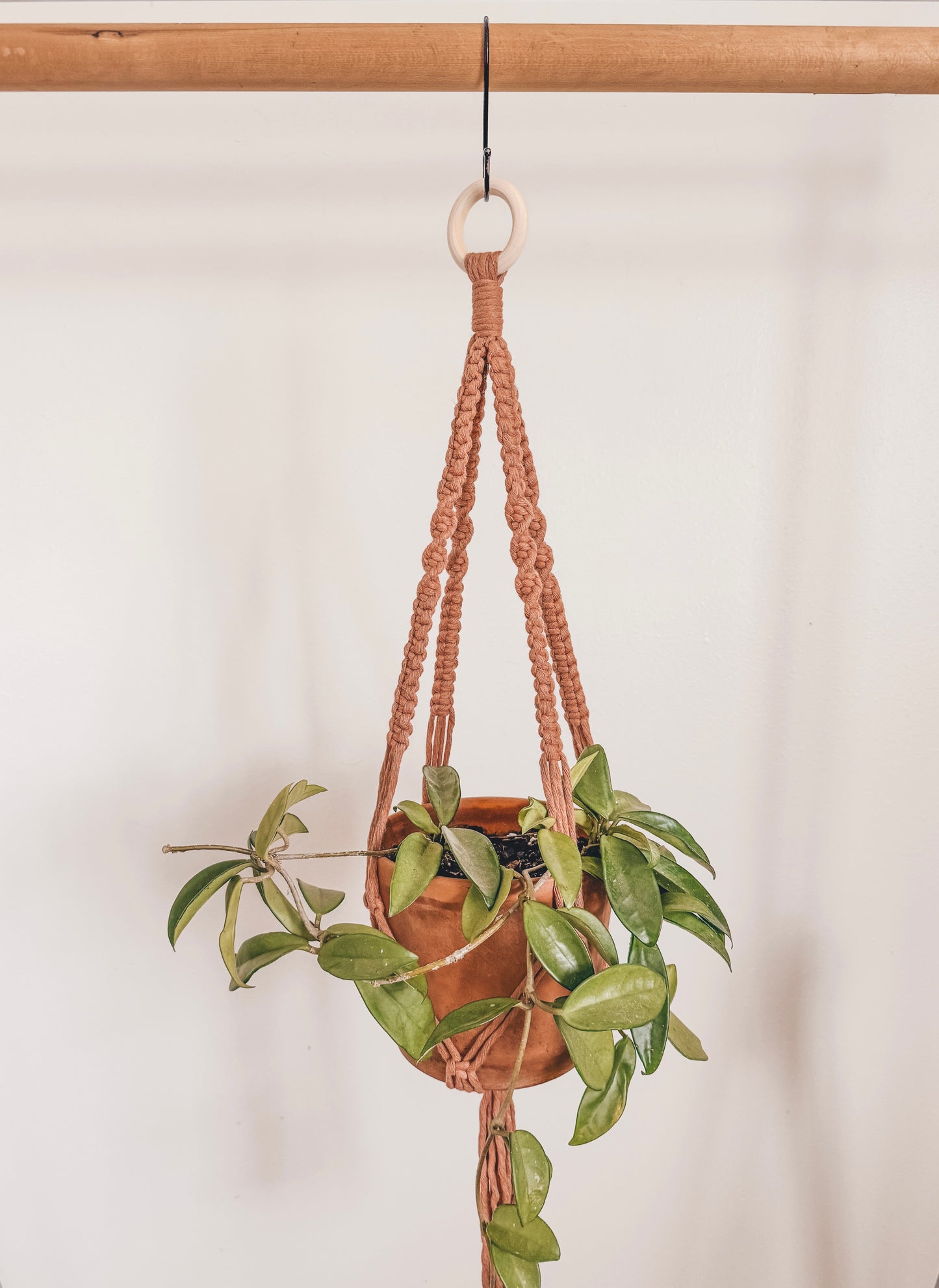 Basic plant hanger, short