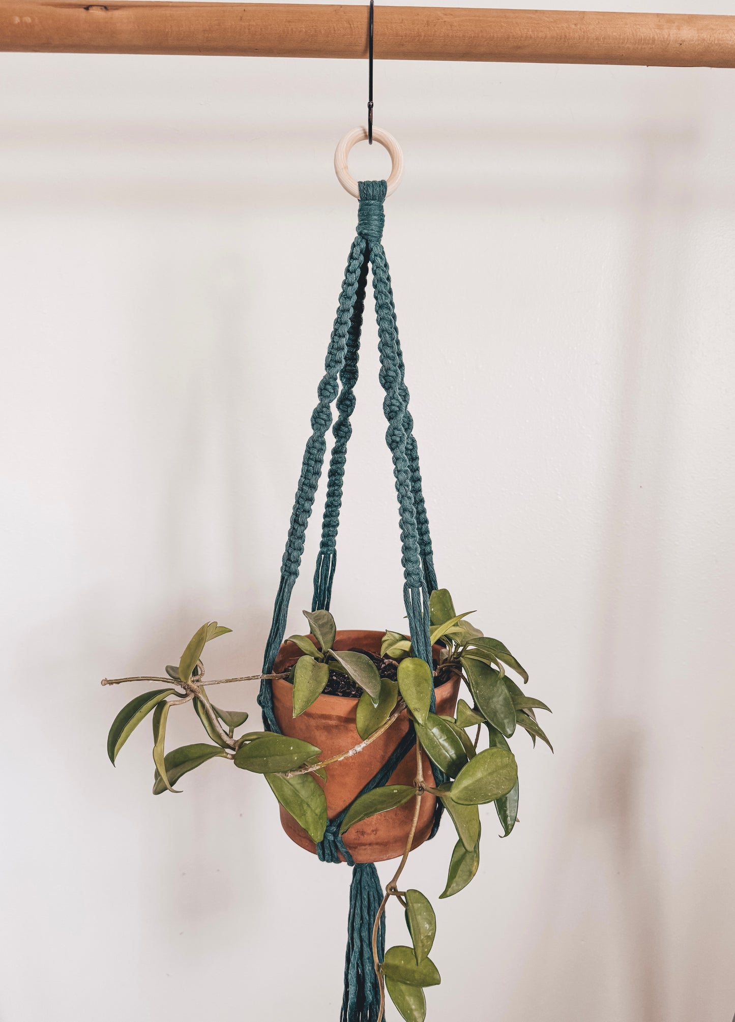 Basic plant hanger, short