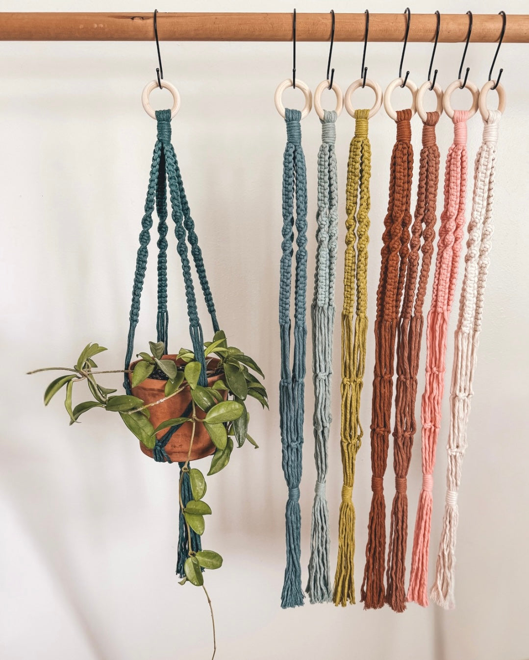 Basic plant hanger, short