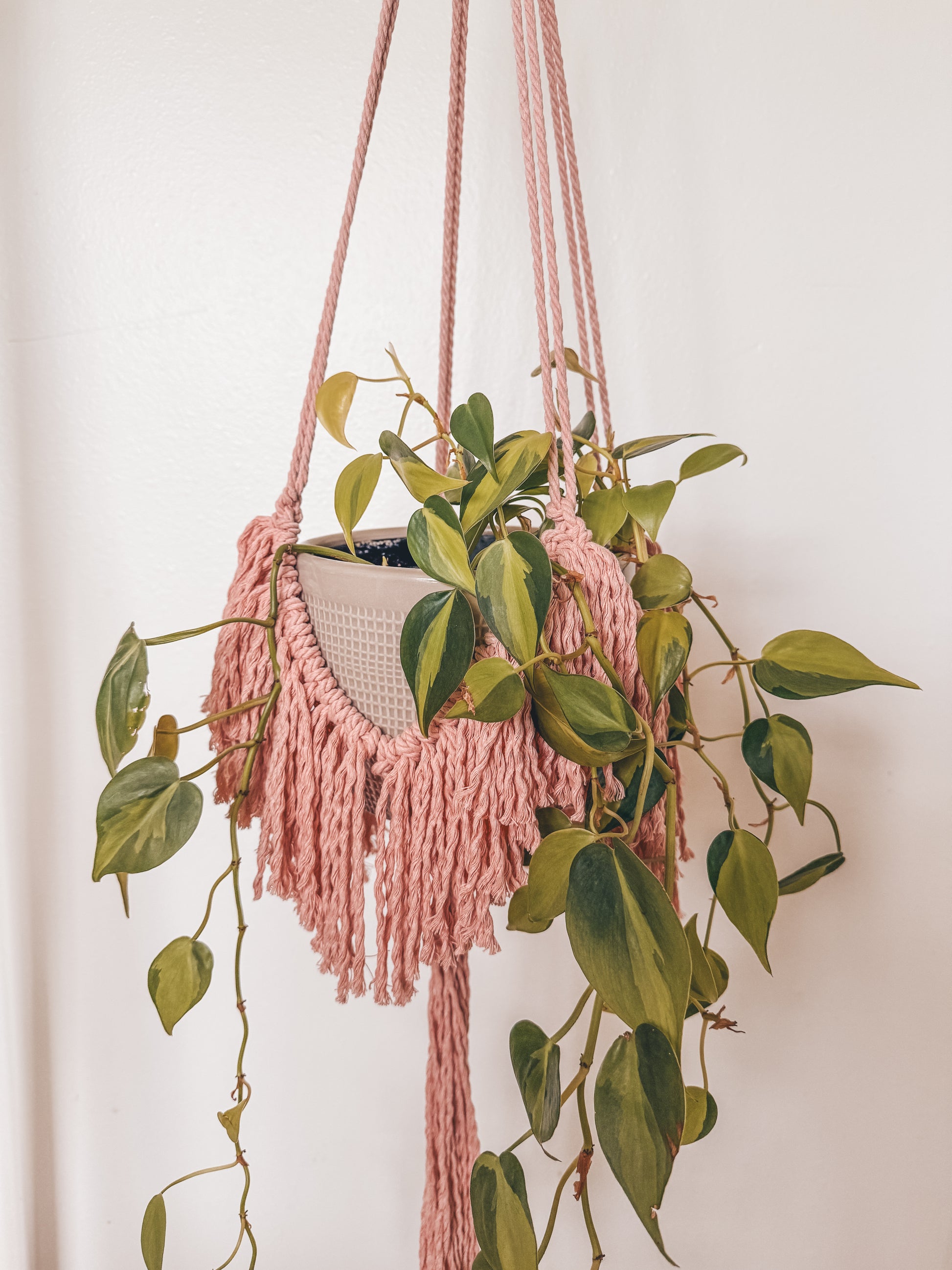 macrame plant hanger with fringe Fringe Plant Hanger – Botanical Knots Studio
