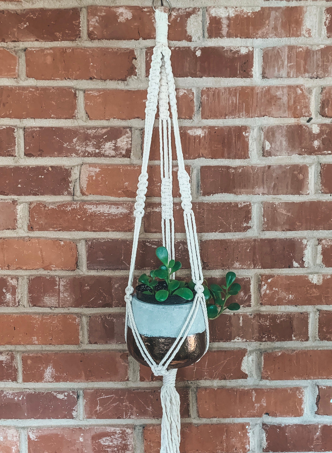 Simple Plant Hanger