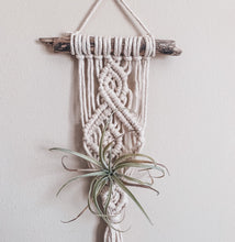 Load image into Gallery viewer, Air Plant Hanger
