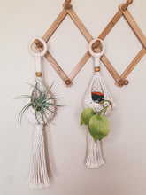 Load image into Gallery viewer, Airplant Pod Hanger
