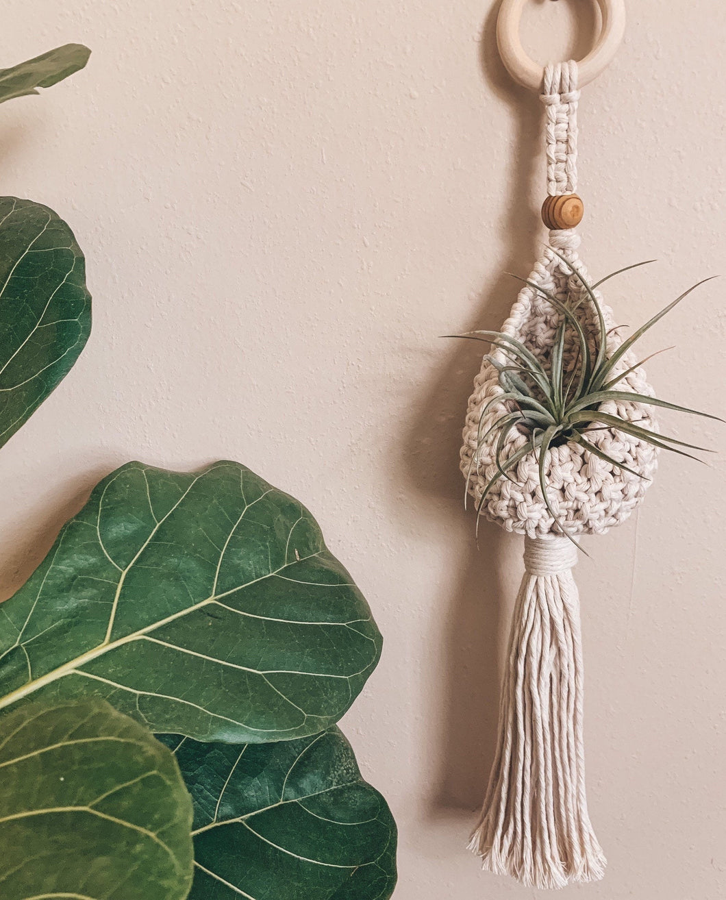 Airplant Pod Hanger