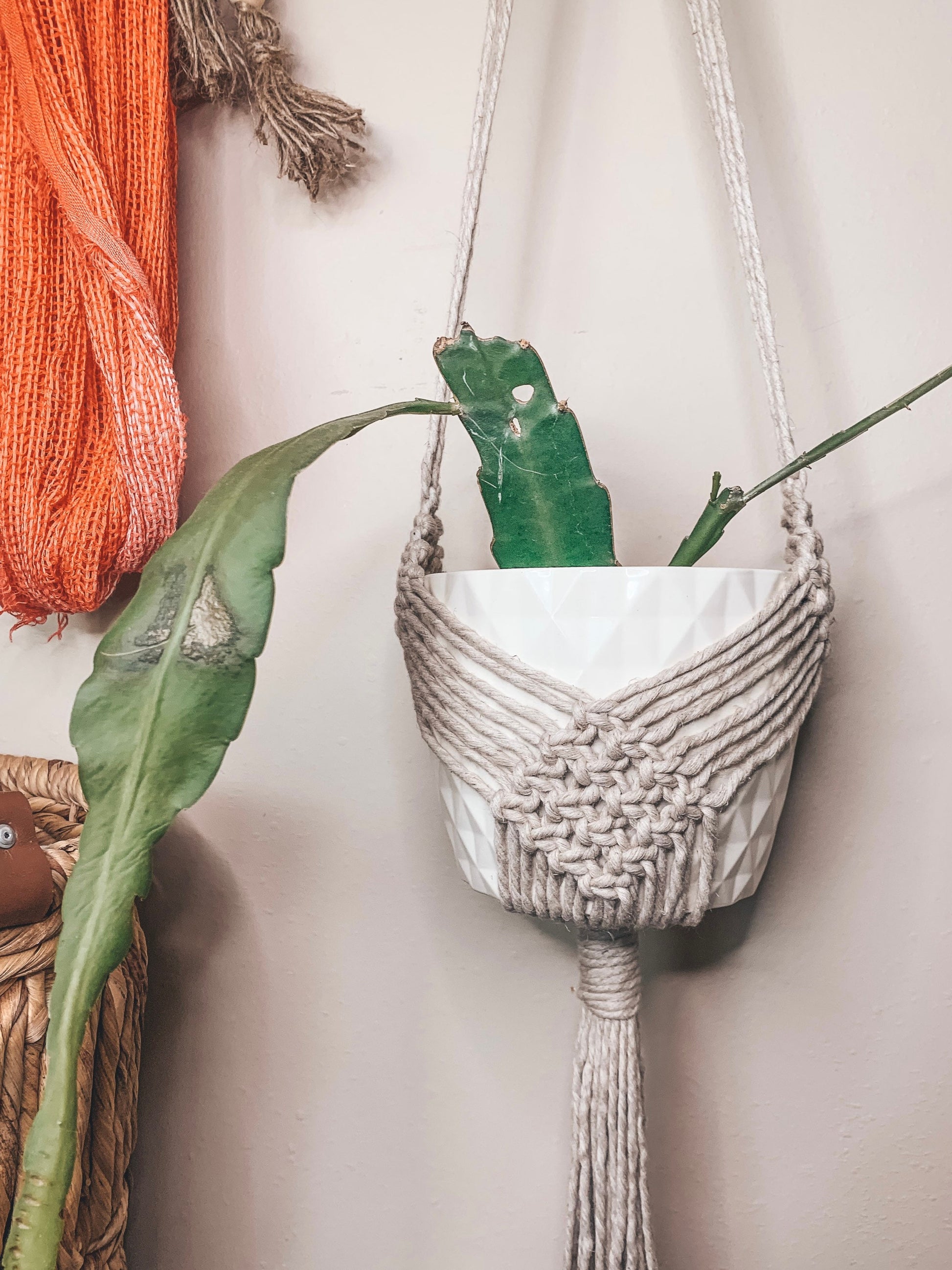 boho plant hanger Boho Plant Hanger